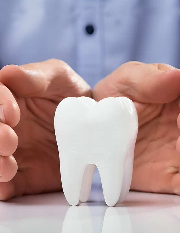 Hands gently cradling white tooth model, symbolizing pediatric dental care and protection.