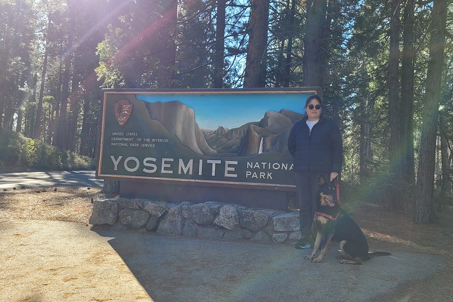 Man and child posing with Yosemite Park sign among tall forest trees.