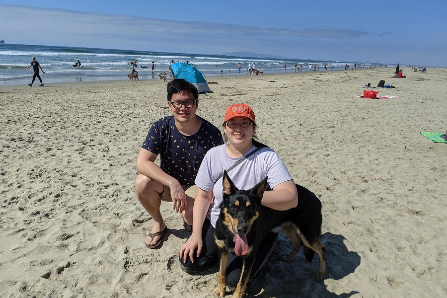 Two children and a dog enjoy playtime together on a sunny beach.