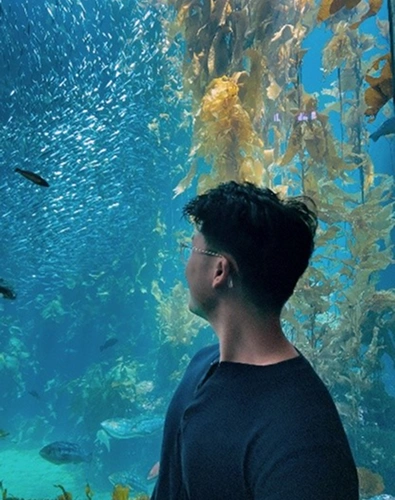 Person viewing large aquarium tank with fish and coral formations underwater.