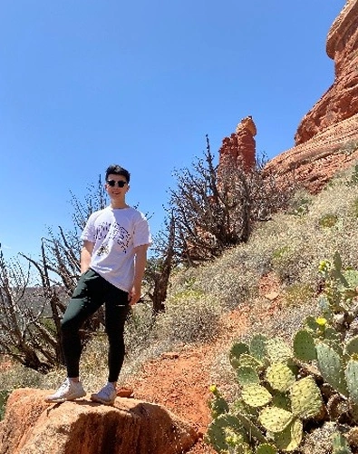 Person standing on desert trail among red rock formations and cacti under clear blue sky.